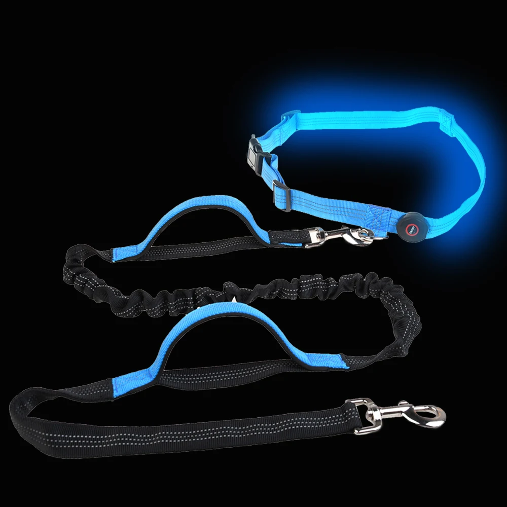 Supply Luminous Pet Leash Factory Price 6pcs Led Ultra Bright Luminous