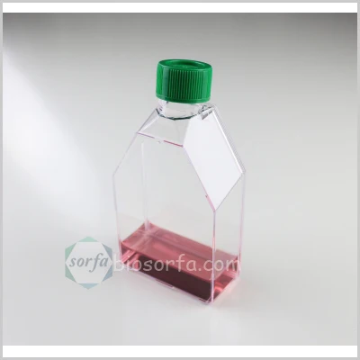 Laboratory plastic tissue culture treated plug seal vent tissue culture bottle flask