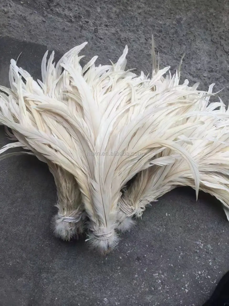 Cream color.jpg