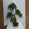 SJZZY Garden Landscaping & Decking Small Indoor artificial pine tree