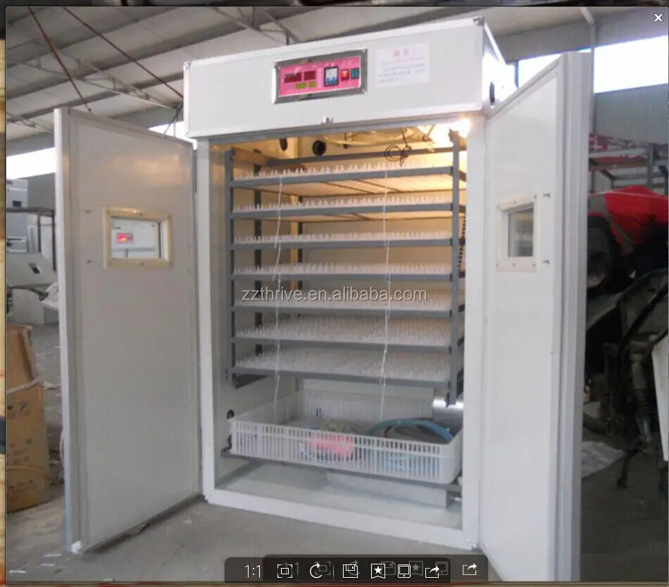 Cheap Egg Hatching Machine/chick Hatch Machine Buy Chick Hatch