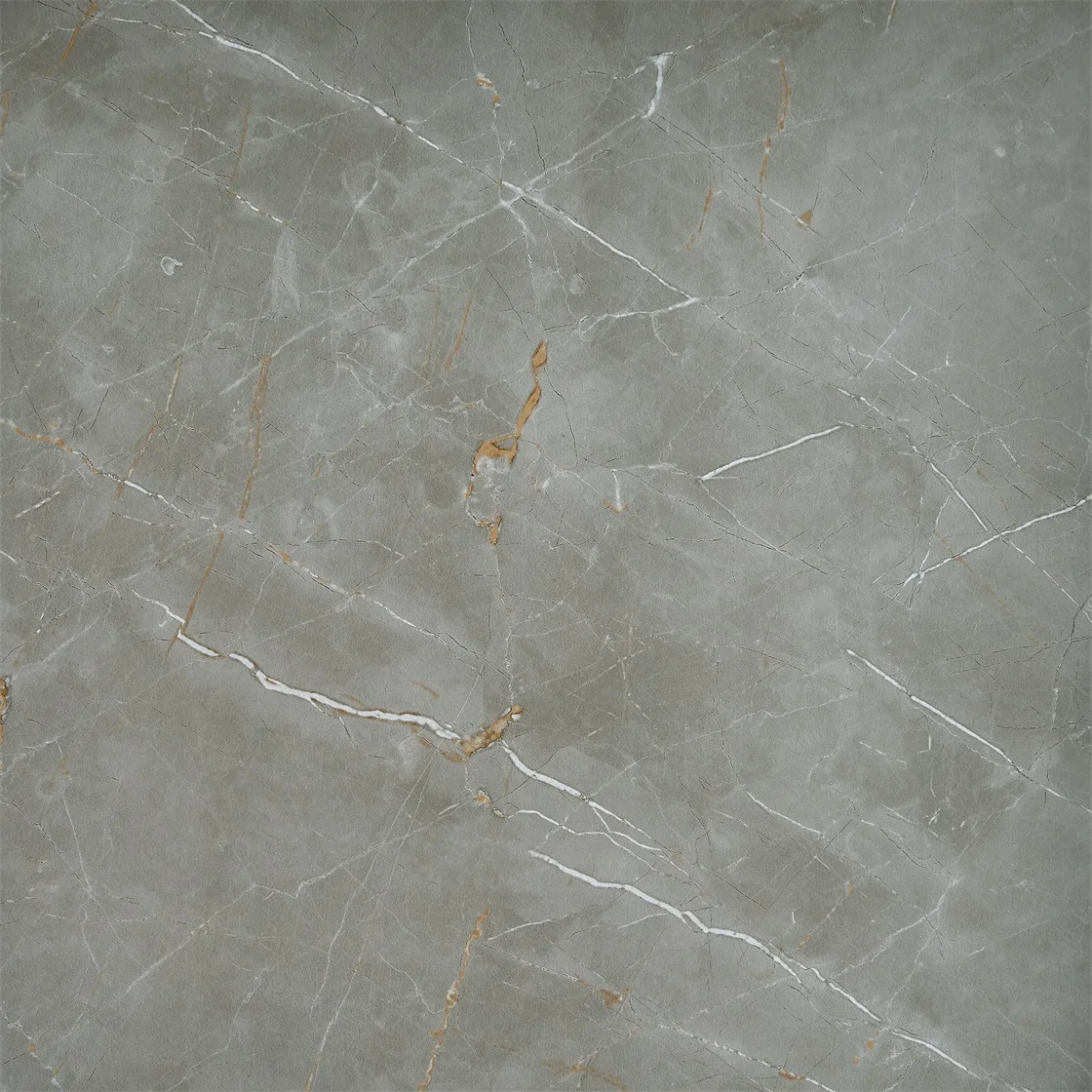 60 60 Ceramic Floor Tile Porcellanato Floor Ceramic Tile