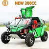 China New Street Legal 2 Seat Cheap Dune Buggy for Adults Sale