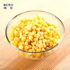 canned sweet corn foods