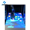 Interactive floor projection software game indoor game