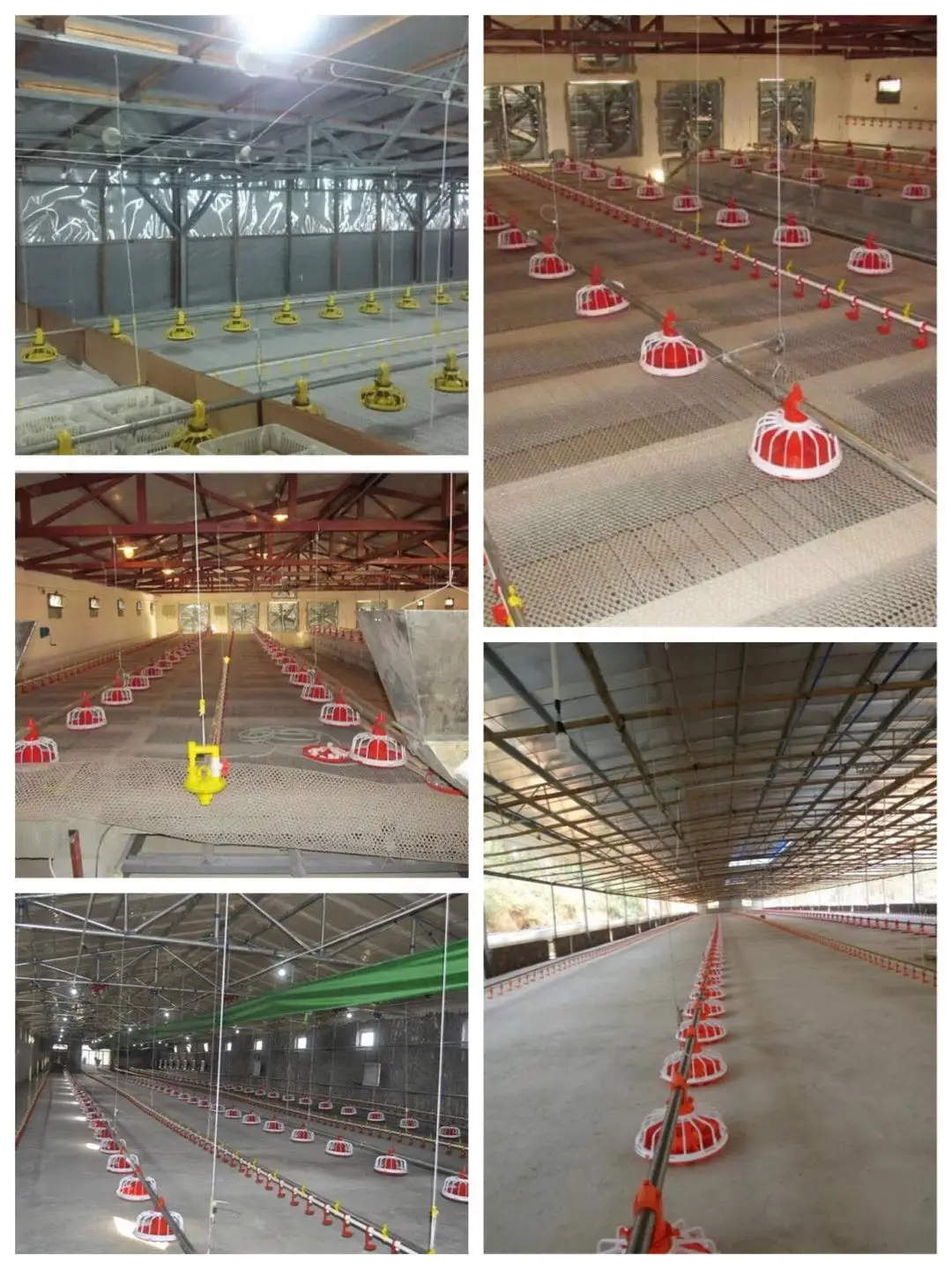 feeding system 3.jpg