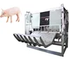 High quality pig slaughterhouse equipment pork slaughter line abattoir machine