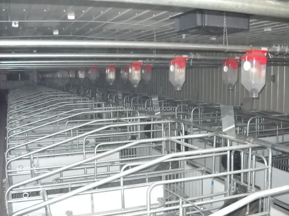 Hot Galvanized Farrowing Crates Pig Used Farrowing Crate For Sale Buy