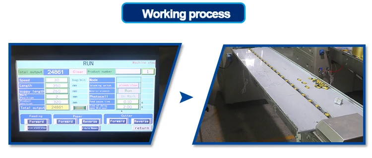 DS-250 working process1.jpg