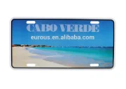 Custom License Plate (2).png