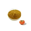 High quality in wholesale Persimmon Leaf Extract powder 10 1 Cancer to reduce weight