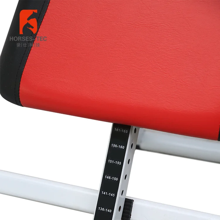 Home gym equipment price inversion table
