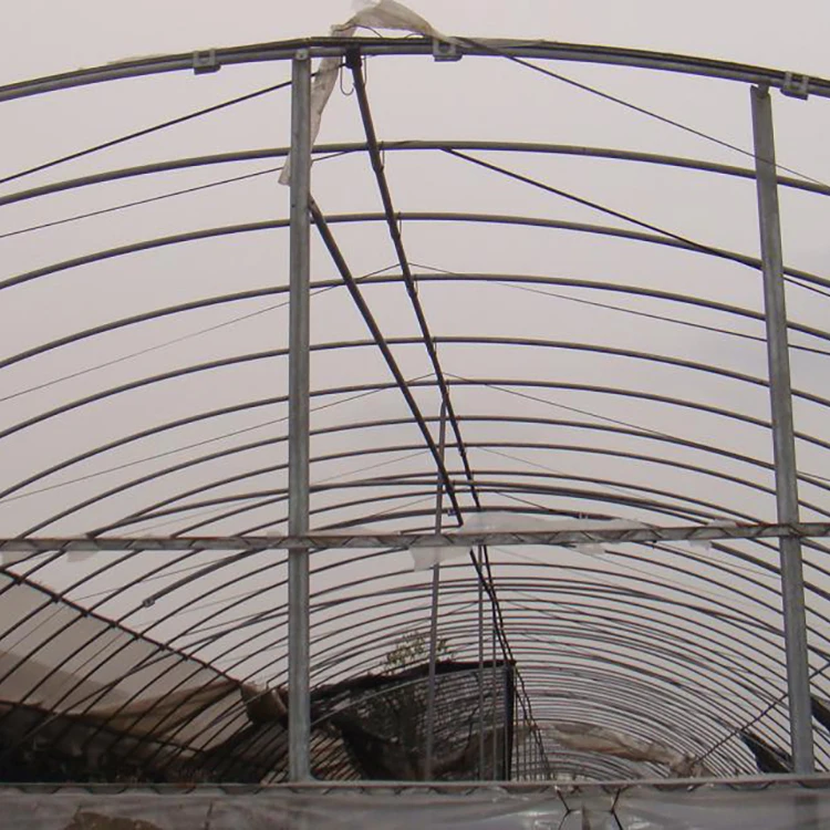 plastic greenhouse