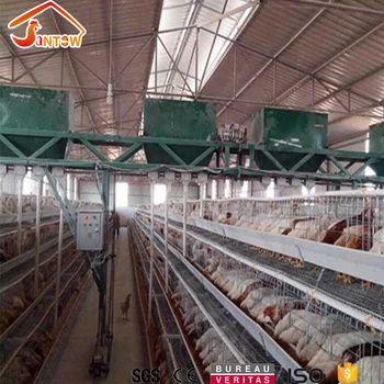 Cheap Price Uganda Ghana Kenya Poultry Farm Automatic Chicken Layer Cages For Sale Buy Chicken Layer Cage Price Uganda Ghana Kenyapoultry Farm