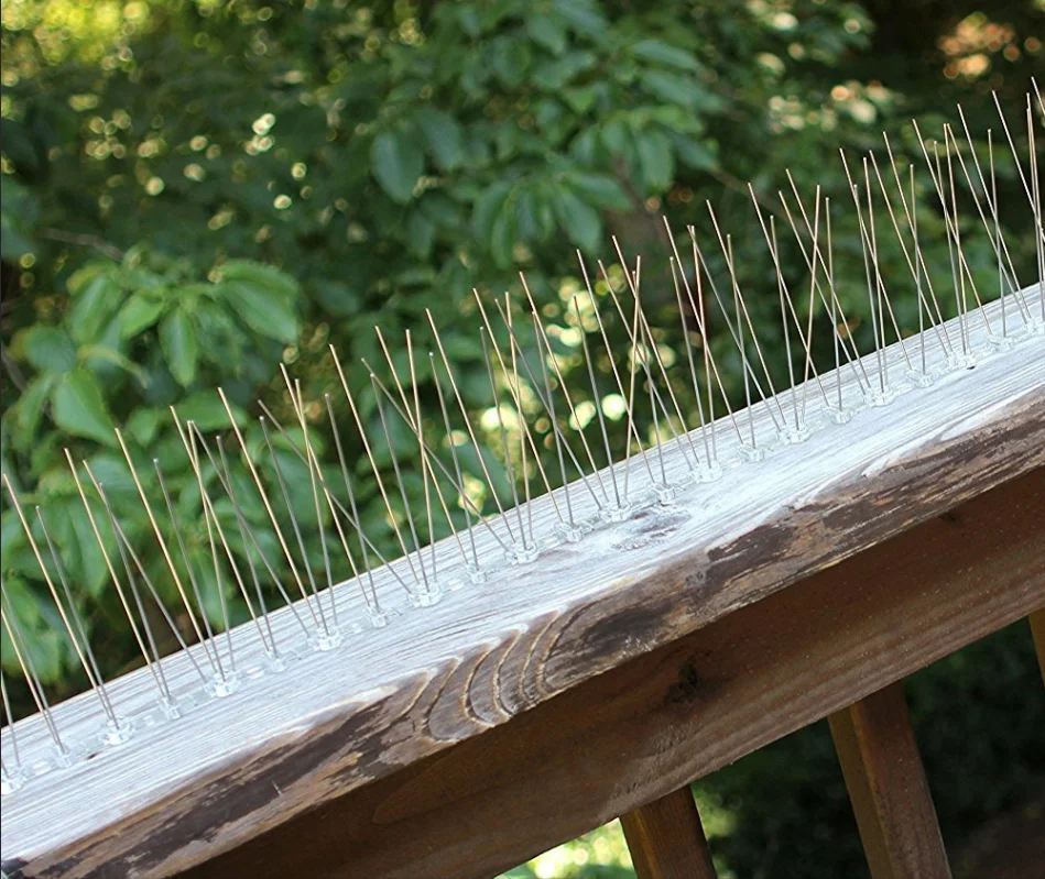 Bird Spikes For Power Line Bird Spike Control Anti Bird Spikes Buy