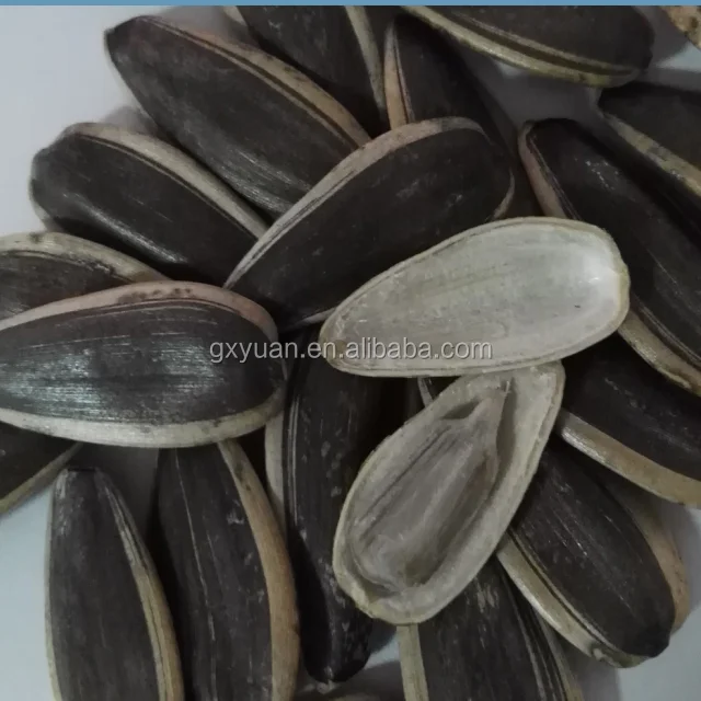 
best sunflower seeds 