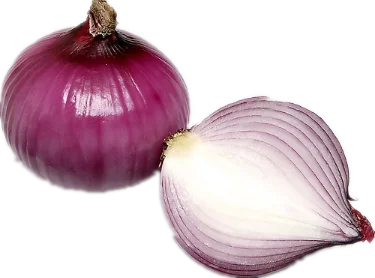 buy hot sale onion extract 10 1 in china on alibaba.com