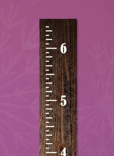 Vintage Ruler Growth Chart