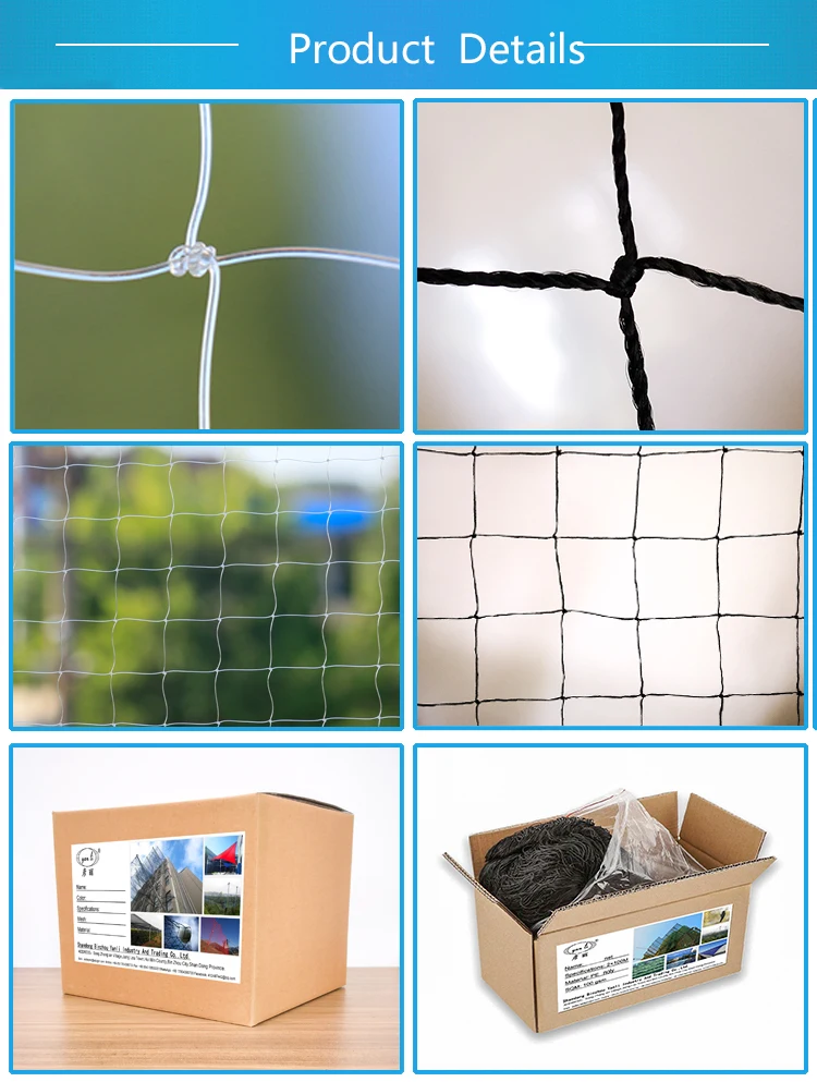 bird net detail