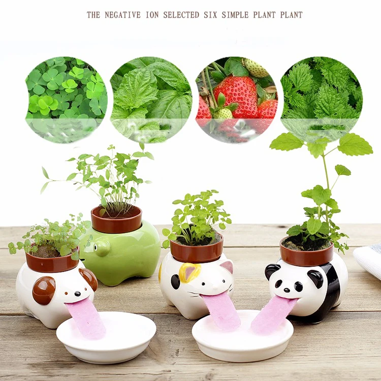 Animal Bonsai Pots Ceramic Cute Animal Bonsai Seed Planter Self