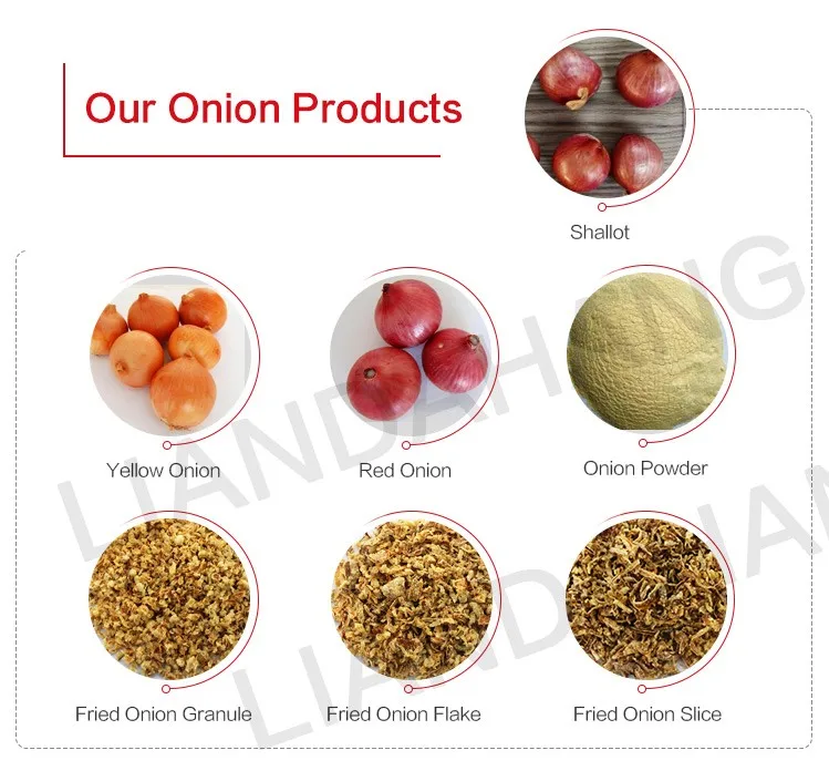 New Crop Fried Onion Powder Buyers,Fried Onion Flakes In Delhi Buy