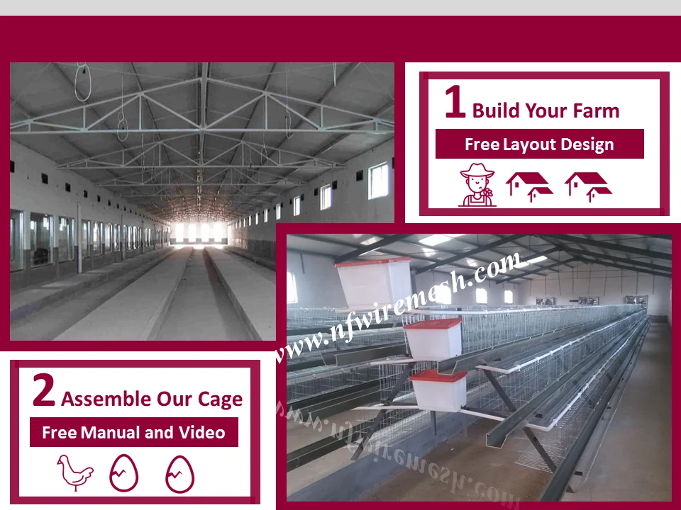 2016 Africa hot sale 3/4 layer chicken battery cage/design layer chicken cages (Guangzhou Factory)