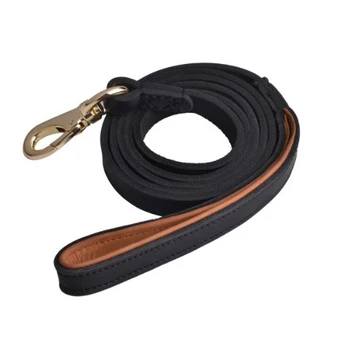 canine leashes and collars