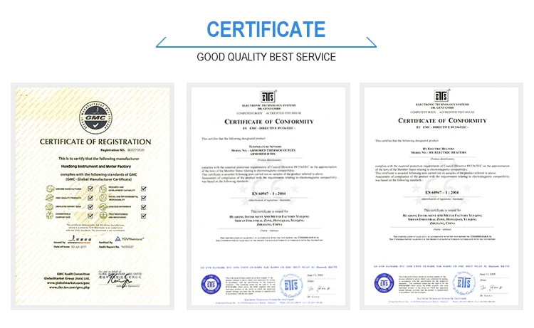 Wholesale Ss316 K Type Sheath Rtd Pt100 Industrial Thermocouple