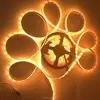 Cheap RGB color change or single color 5050 led strip light