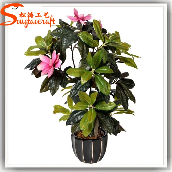  Indoor  Plants  Flowers With Pot For Sale  Buy Plant  Flower 