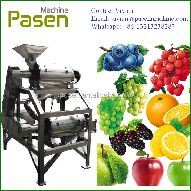 Double Processing Fruit Pulping Machine.jpg