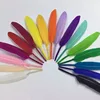 Wholesale Beautiful fashion Feathers Decorative Easter Bleached and Dyed colors Goose Feathers