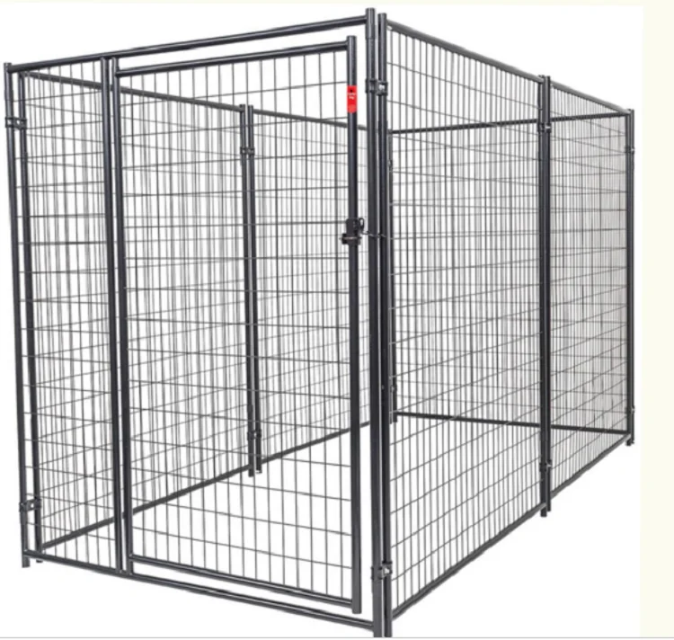 dog case 9.png