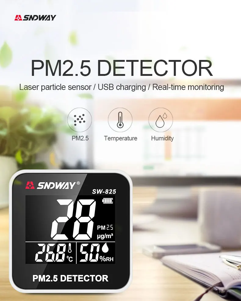 PM2_01.jpg