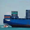 Professional Shanghai Foreign Trade Agent for import agency with much experience