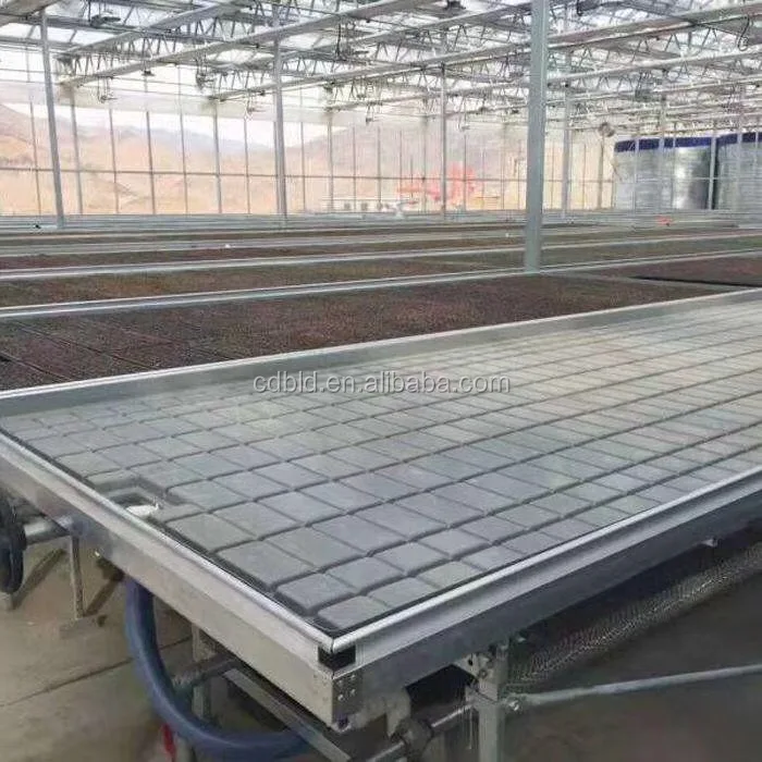 seedling bed 