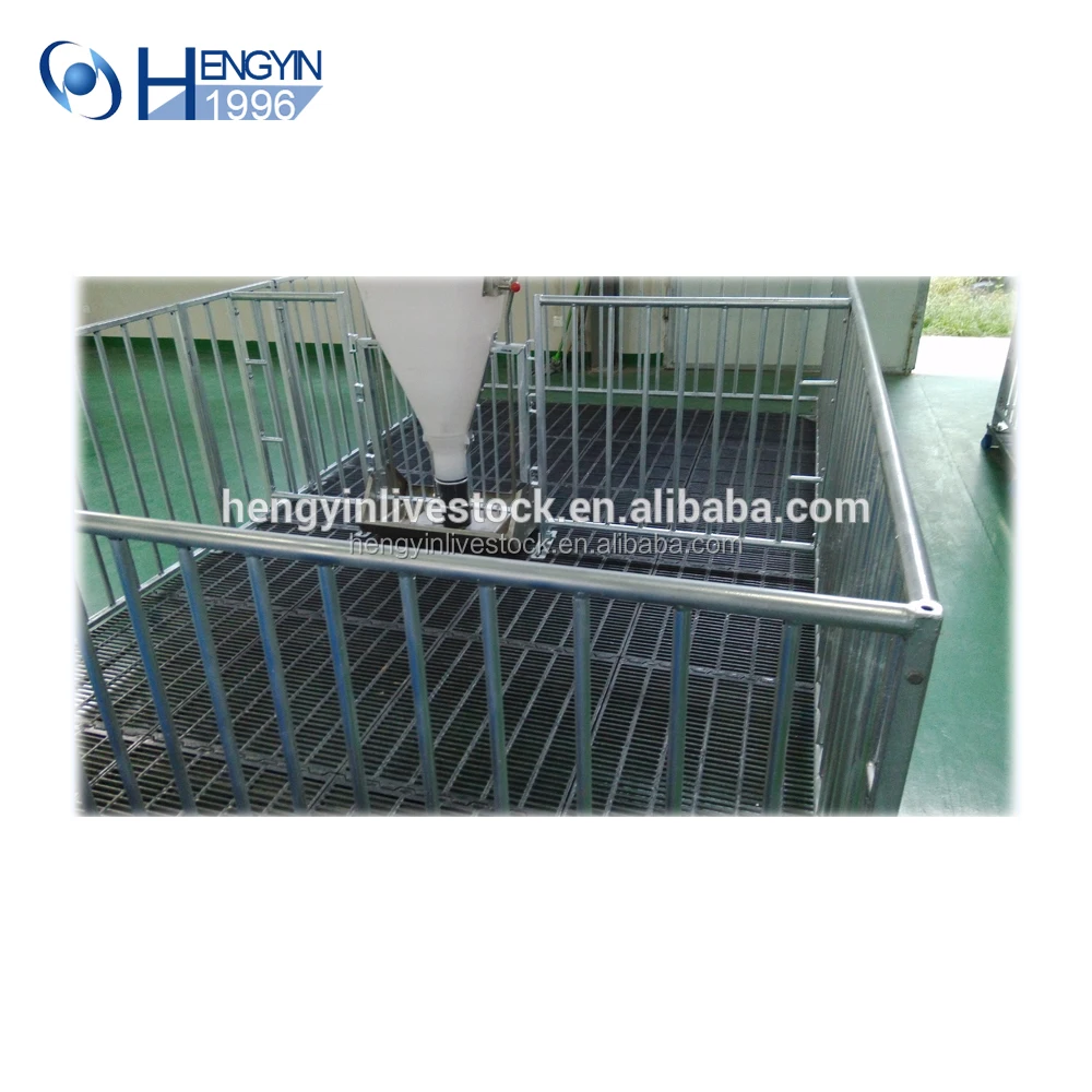 Manufacturer Stainless Steel Feeder Pig Fattening Crate For