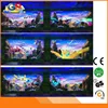 3D New Arcade Fishing Game Machine Singapore Controller Programming Creation Developer
