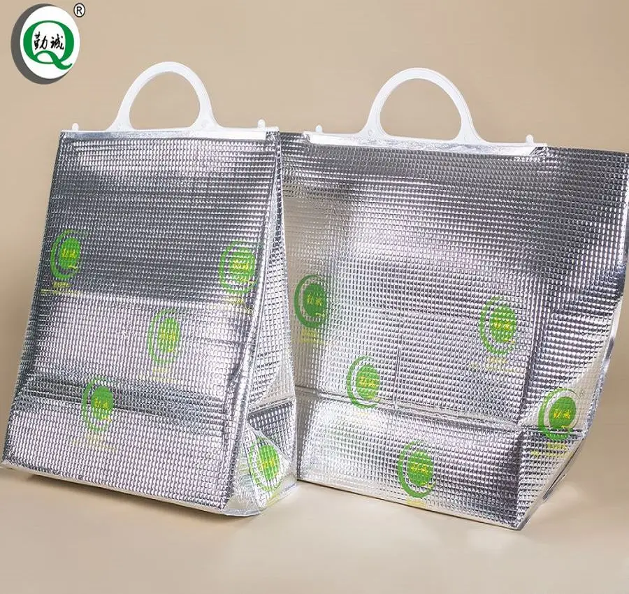 insulated cooler bags target