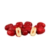 Hot sale factory direct organic jujube wholesale/red date fruit