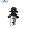 Factory directly sell 12V DC Micro diaphragm electric agriculture spray solar water pump