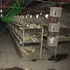 2014 modern live chickens cages to transport