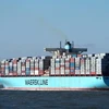 International shipping company Ship to egypt sea freight forwarder
