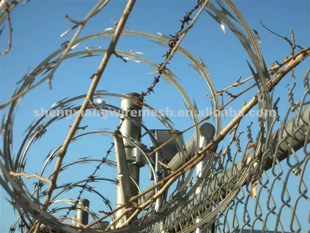 barbed-wire-751-small-2.jpg