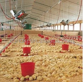 Infrared Gas Brooder for Poultry - Efficient Heating