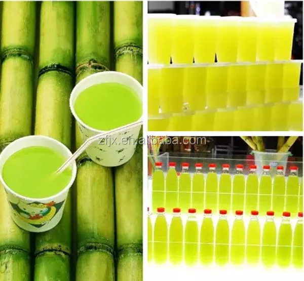 small sugarcane juicer.jpg