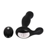 2 powerful motors 10 modes vibration electric silicone wireless remote controlled butt plug