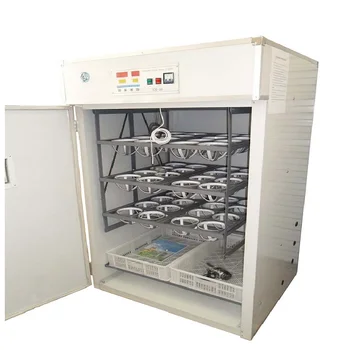 Best fully automatic egg incubator