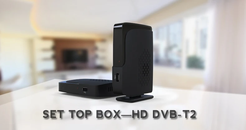 DVB-1008 T2 PIC.jpg