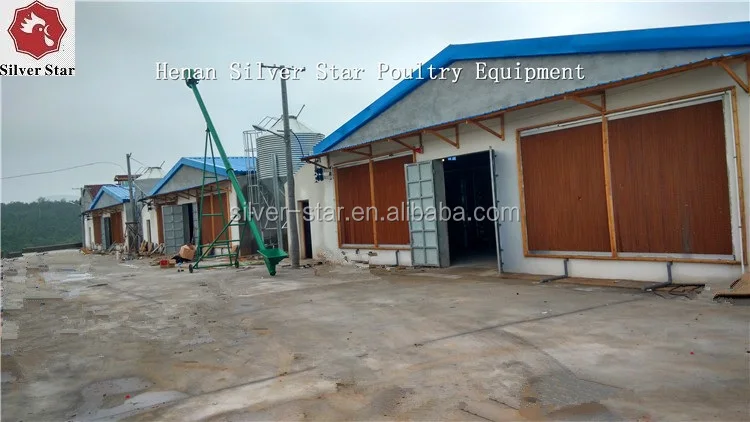 IMG_20150618_103154_HDR